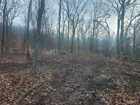 Tiny photo for 0 Highway O, Fredericktown, MO 63645 (MLS # 26018943)