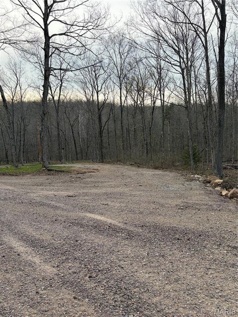 Tiny photo for 0 Highway O, Fredericktown, MO 63645 (MLS # 26018943)