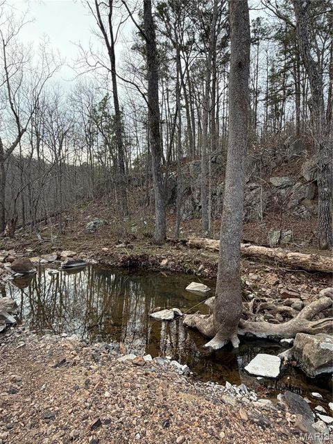 Tiny photo for 0 Highway O, Fredericktown, MO 63645 (MLS # 26018943)