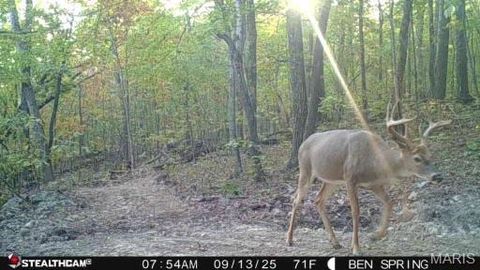 Tiny photo for 0 Highway O, Fredericktown, MO 63645 (MLS # 26018943)