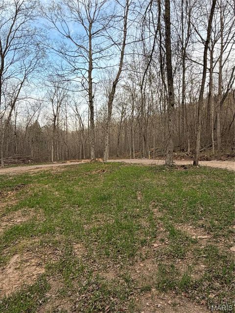 Tiny photo for 0 Highway O, Fredericktown, MO 63645 (MLS # 26018943)