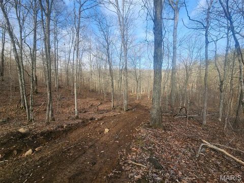 Tiny photo for 0 Highway O, Fredericktown, MO 63645 (MLS # 26018943)