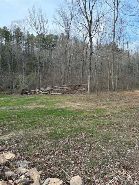 Tiny photo for 0 Highway O, Fredericktown, MO 63645 (MLS # 26018943)