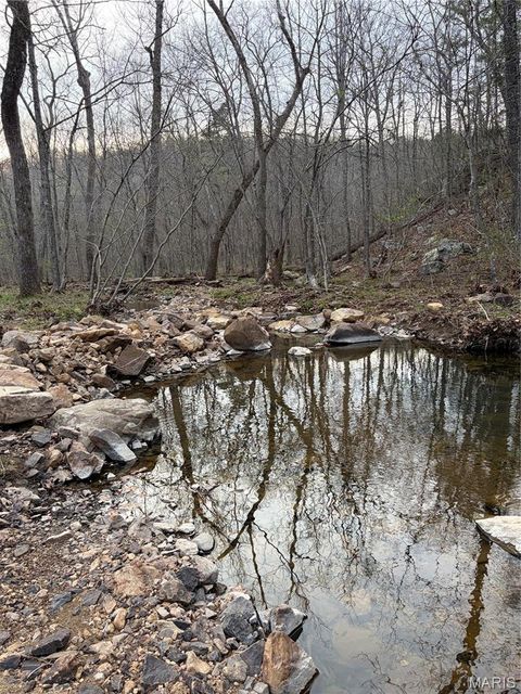 Tiny photo for 0 Highway O, Fredericktown, MO 63645 (MLS # 26018943)