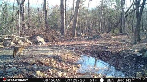 Tiny photo for 0 Highway O, Fredericktown, MO 63645 (MLS # 26018943)