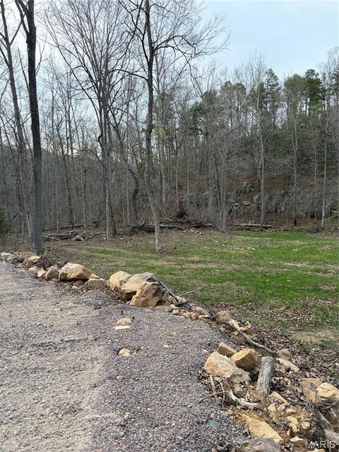 Tiny photo for 0 Highway O, Fredericktown, MO 63645 (MLS # 26018943)