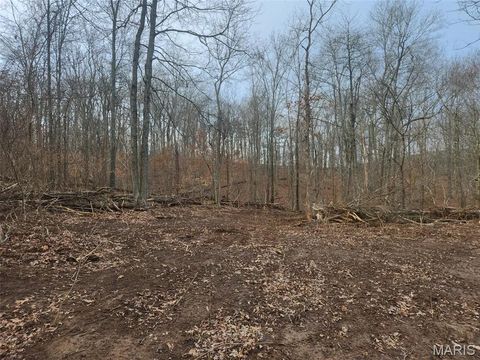 Tiny photo for 0 Highway O, Fredericktown, MO 63645 (MLS # 26018943)