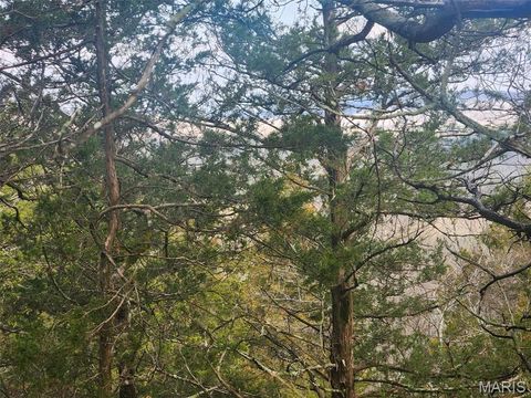 Tiny photo for 0 Highway O, Fredericktown, MO 63645 (MLS # 26018943)