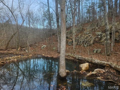 Tiny photo for 0 Highway O, Fredericktown, MO 63645 (MLS # 26018943)