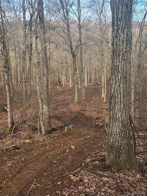 Tiny photo for 0 Highway O, Fredericktown, MO 63645 (MLS # 26018943)