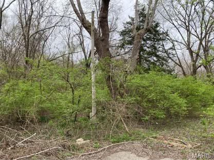 Discover the perfect blend of privacy and recreation on this 0.36-acre wooded lot with private access to the Flat River. Perfect for a weekend retreat, recreational use, or the ideal spot to build. Enjoy fishing, swimming, or simply relaxing by the water on your own riverbank. Utilities are accessible, making future development convenient and stress-free. Don’t miss the chance to escape the hustle and enjoy your own riverfront retreat!