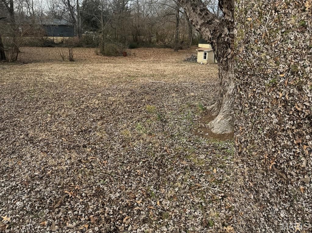 Photo of 2523 Shady Lane, Poplar Bluff, MO 63902 (MLS # 26014139)