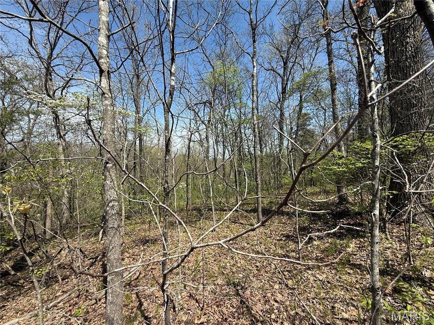 Build your dream home in beautiful Zoar Ridge Estates! This spacious lot is tucked at the end of a peaceful cul-de-sac, offering a serene country setting with the convenience of shared well access and underground electric. Ideally located just off State Hwy J, south of Troy and minutes from I-70 or Hwy 61 for easy commuting. Subdivision restrictions require single-story homes of at least 1,800 sq. ft.; no mobiles, earth-contact, or manufactured homes allowed. Annual assessments are $200. Located in the Wright City School District with GATEWAY FIBER available for high-speed internet. Additional Rooms: In Platted Subdv.