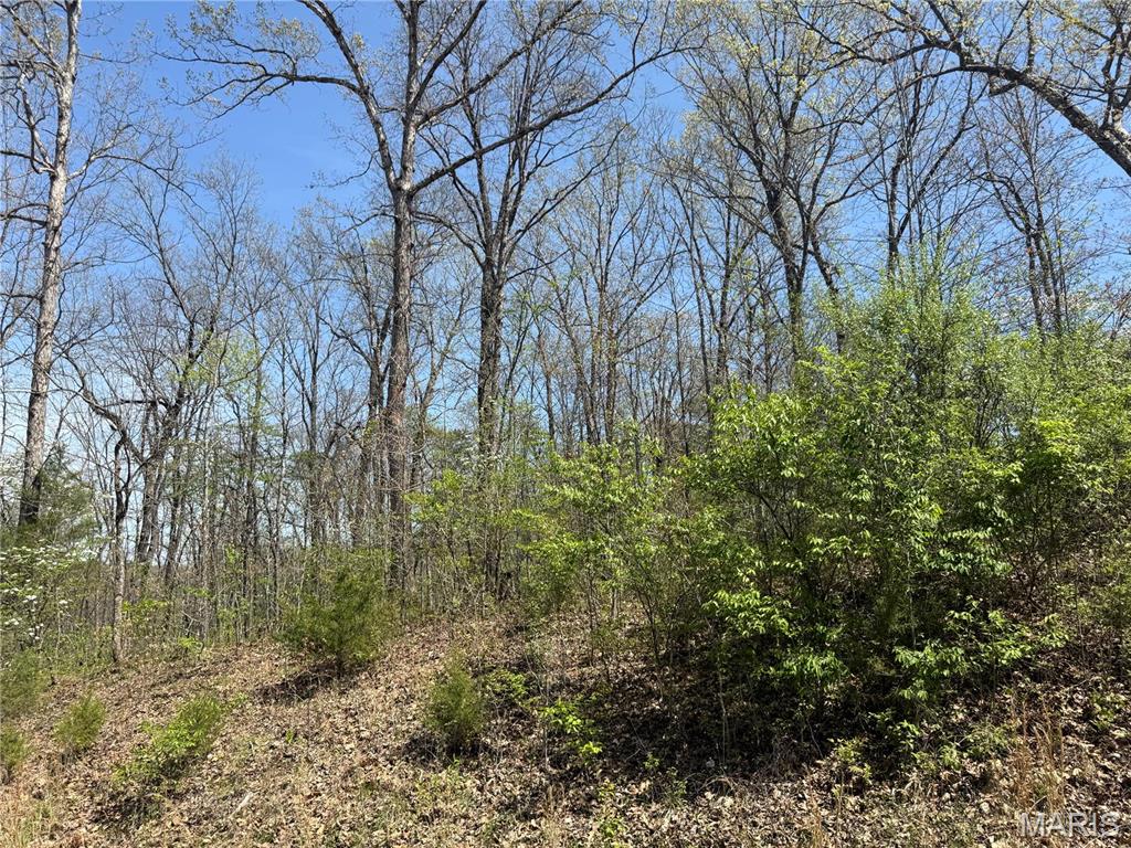 Zoar Ridge Estates - Land