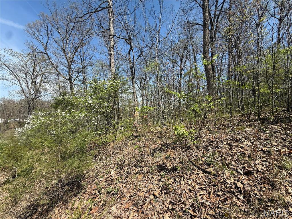 Zoar Ridge Estates - Land