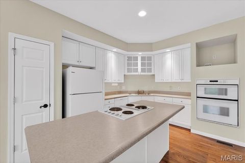 Tiny photo for 16816 Chesterfield Bluffs Circle, Chesterfield, MO 63005 (MLS # 26012415)