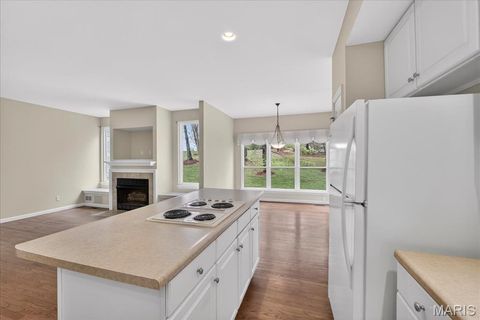 Tiny photo for 16816 Chesterfield Bluffs Circle, Chesterfield, MO 63005 (MLS # 26012415)