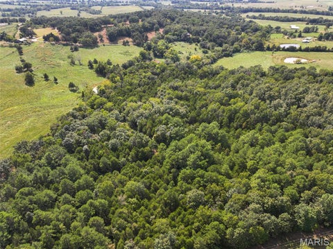 Tiny photo for 0 Madison 221, Fredericktown, MO 63645 (MLS # 26058123)