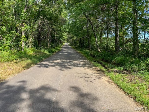 Tiny photo for 0 Madison 221, Fredericktown, MO 63645 (MLS # 26058123)