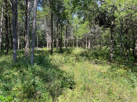 Tiny photo for 0 Madison 221, Fredericktown, MO 63645 (MLS # 26058123)