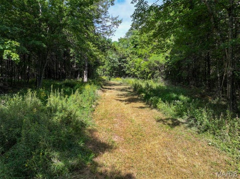 Tiny photo for 0 Madison 221, Fredericktown, MO 63645 (MLS # 26058123)