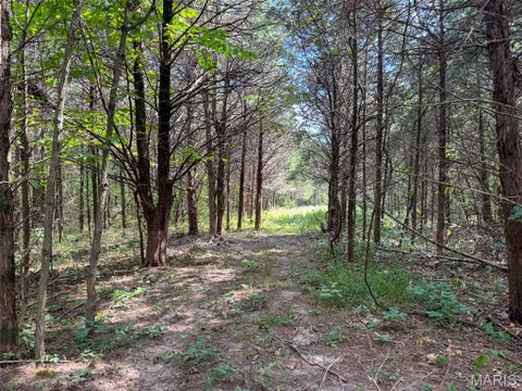 Tiny photo for 0 Madison 221, Fredericktown, MO 63645 (MLS # 26058123)