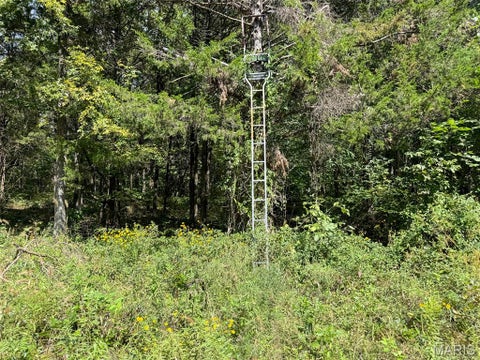 Tiny photo for 0 Madison 221, Fredericktown, MO 63645 (MLS # 26058123)
