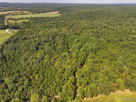 Tiny photo for 0 Madison 221, Fredericktown, MO 63645 (MLS # 26058123)