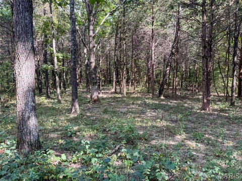 Tiny photo for 0 Madison 221, Fredericktown, MO 63645 (MLS # 26058123)