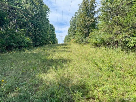 Tiny photo for 0 Madison 221, Fredericktown, MO 63645 (MLS # 26058123)