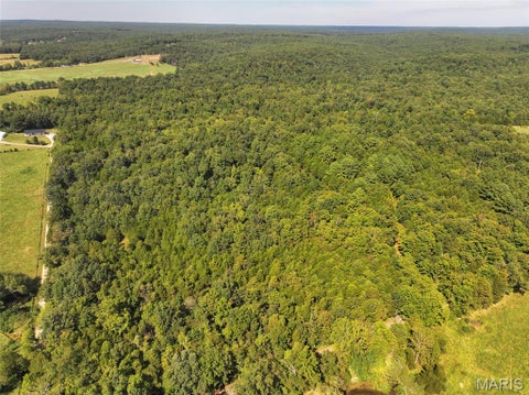 Photo of 0 Madison 221, Fredericktown, MO 63645 (MLS # 26058123)