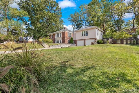 Photo of 456 Wilcox Avenue, Kirkwood, MO 63122 (MLS # 25067937)