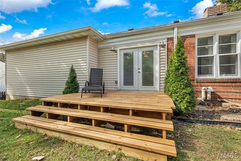 Tiny photo for 456 Wilcox Avenue, Kirkwood, MO 63122 (MLS # 25067937)