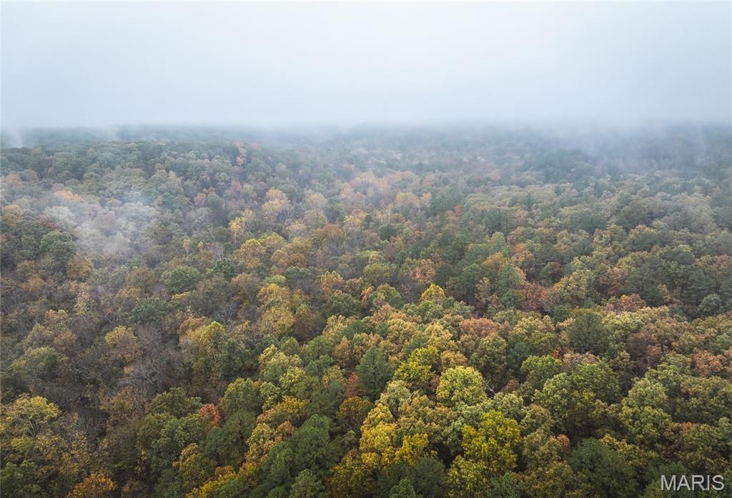 Photo of 000 Lodge Road, Bourbon, MO 65565 (MLS # 25073048)