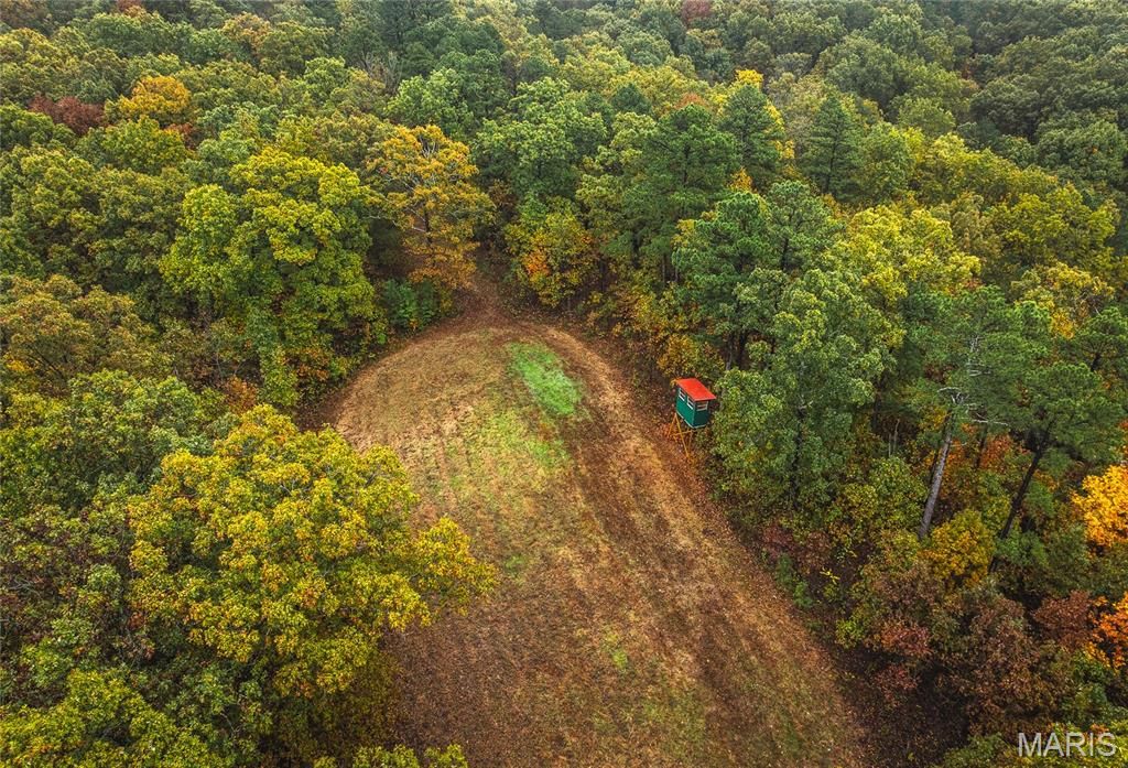 Photo of 000 Lodge Road, Bourbon, MO 65565 (MLS # 25073048)