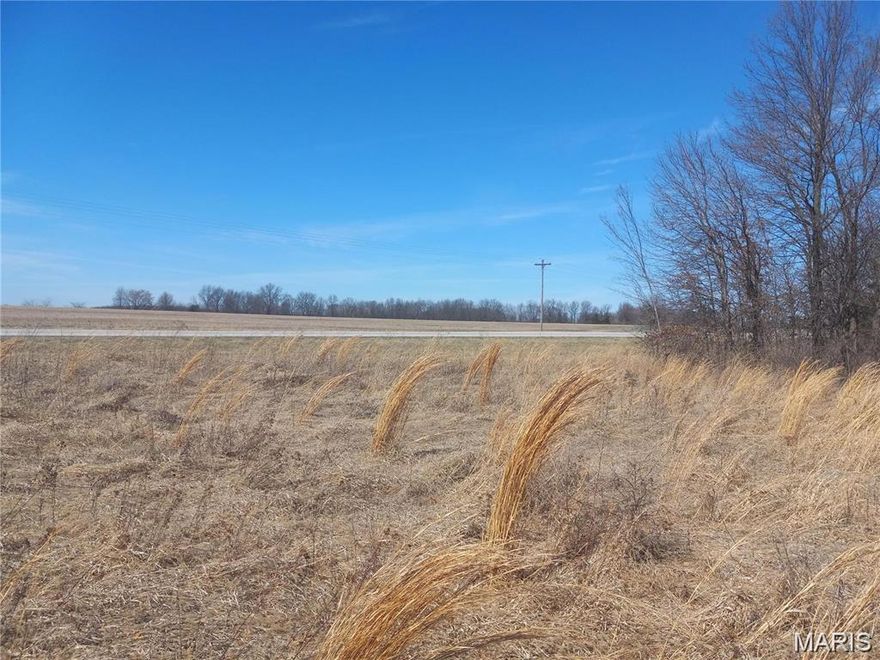 4.81 M/L acres located right along Highway 24 just outside of Paris, MO. This property has great highway frontage and would make for an opportunity for a buyer to put in a new business location, storage units, or potentially to install a boat/camper storage. The Rt U and 107 boat ramps are less than a 15 min drive from this property. There is also plenty of room to build a house and a shop. Electric is nearby directly across the highway.