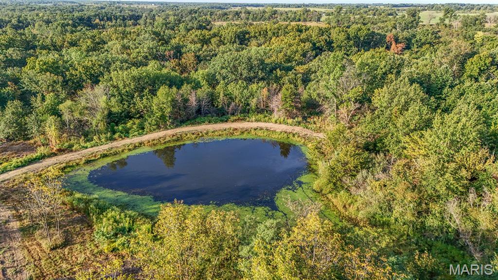 Halyon Estates - Land