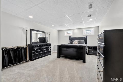 Tiny photo for 136 Brookshire Creek Drive, Wentzville, MO 63385 (MLS # 25068023)