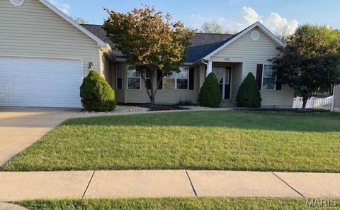 Photo of 136 Brookshire Creek Drive, Wentzville, MO 63385 (MLS # 25068023)