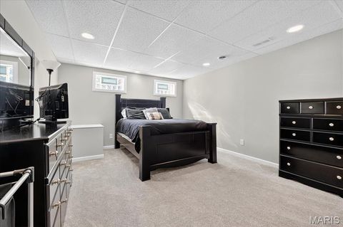 Tiny photo for 136 Brookshire Creek Drive, Wentzville, MO 63385 (MLS # 25068023)