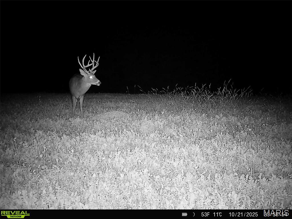 91.11 Acres Lollar Branch Road