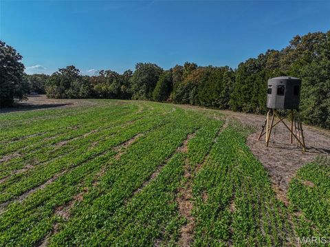 00 Lollar Branch Road Sullivan MO 63080