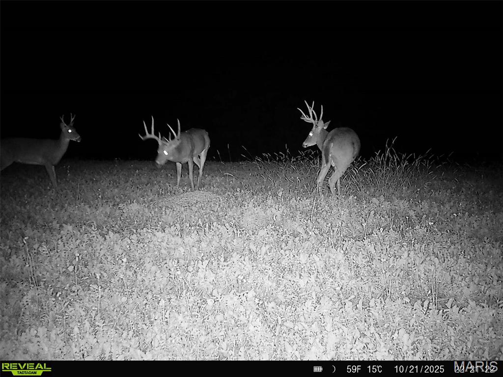 91.11 Acres Lollar Branch Road