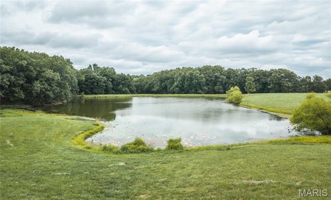 Tiny photo for 1137 Highway F, Eolia, MO 63344 (MLS # 26062935)