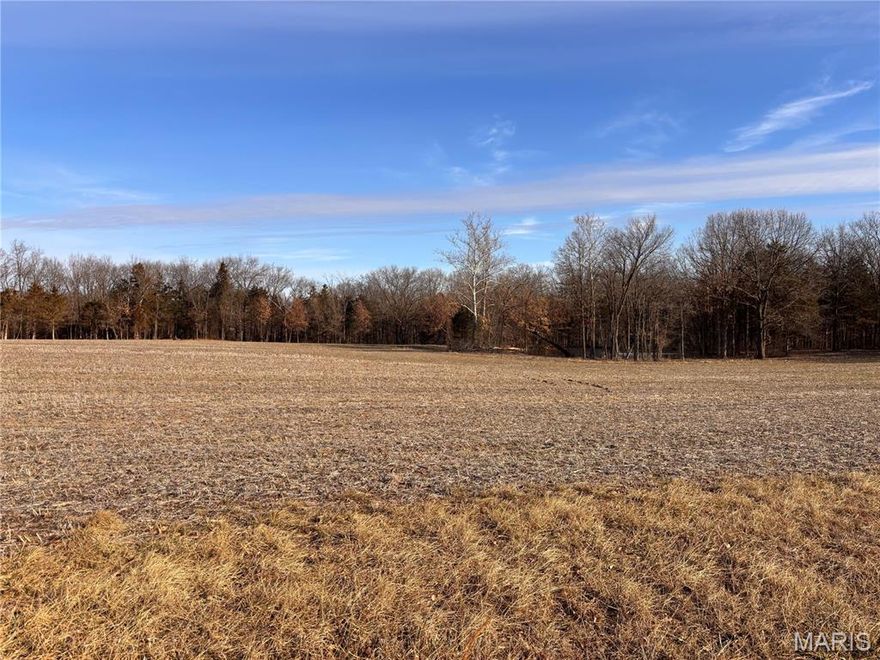8.84 ACRES JUST OFF OF HWY AA AND RANCH ROAD!!! Flat, level & open acreage backing to woods, perfect for your new custom home site. Located just 4 miles from 70 from either the Wright City or Warrenton exit.  Ranch Road to be paved. Some restrictions will apply, including no shouses, barndominiums, mobile homes or commercial businesses.  Agent Owned