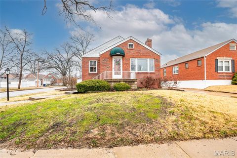 Photo of 5689 Pernod Avenue, St Louis, MO 63139 (MLS # 26011306)