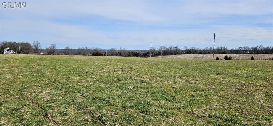 Discover the perfect site for your custom home in this exclusive new 5-lot development in Southern Lincoln County with no HOA. Perfectly situated at the corner of Mette Rd and Carter Rd in Moscow Mills, just a few minutes from the Hwy 40/61 "U" exit for an effortless commute. Bardominiums allowed! Choose from (4) 3+/- acre tracts offered at $150,000 or secure the premier 3.5+/- acre corner lot for $175,000. Enjoy a peaceful, rural setting with modern convenience. Each lot will have its own driveway off of Carter Rd. Corner lot #5 could have a driveway off of Mette Rd or Carter Rd. Building Requirements: Minimum 1,400 sq. ft. for ranch/single-level and 2,200 sq. ft. for 2-story builds. Utilities: Cuivre River Electric is available; Gateway Fiber is available for internet, private well and septic required. This listing price reflects Lot #3, 3+/- acre lot. Bring your own builder and start planning your dream estate today!