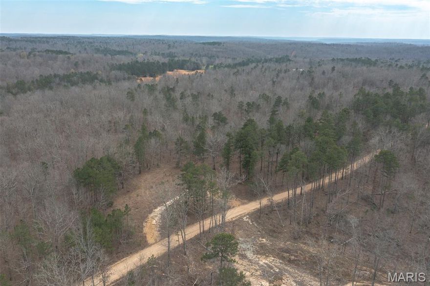 6 +/- mostly wooded acres with county road frontage, a good clearing to build on, mature timber, and electric on site. Located just a few miles from Marquand, close to government land, groceries, a local winery, and the Castor River. Great place to build that weekend getaway or full-time residence.