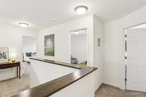 Tiny photo for 171 Prairie Wind Drive, Wentzville, MO 63385 (MLS # 25076669)