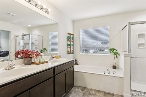 Tiny photo for 171 Prairie Wind Drive, Wentzville, MO 63385 (MLS # 25076669)